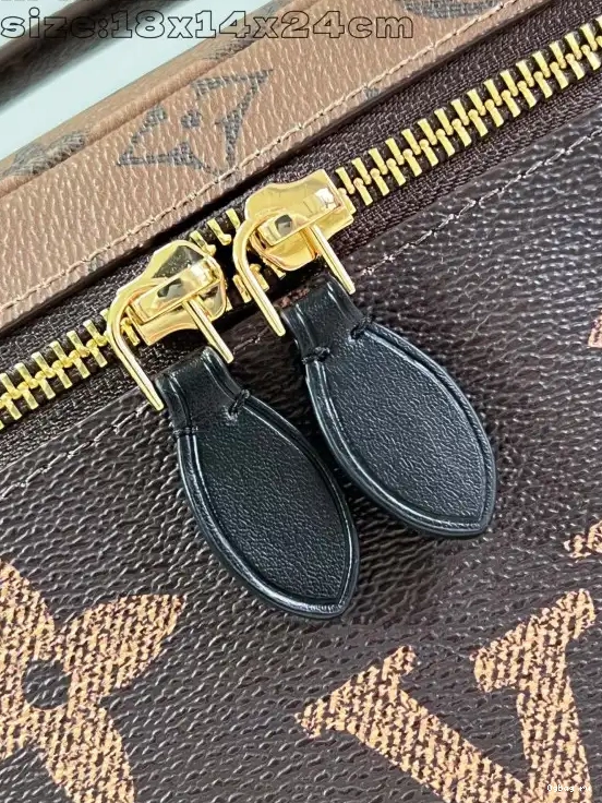 Vuitton BB Nice Louis 0505